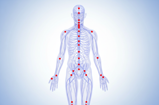 Acupuncture Points as Gateways to the Nervous System: A Modern Scientific View